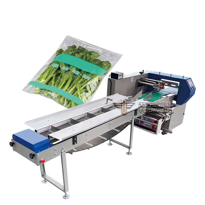 Automatic Horizontal Flow Wrapping Packing Machine Forbiscuit Packing Machine Fresh Fruits And Vegetables Pillow Bag Packing Machine