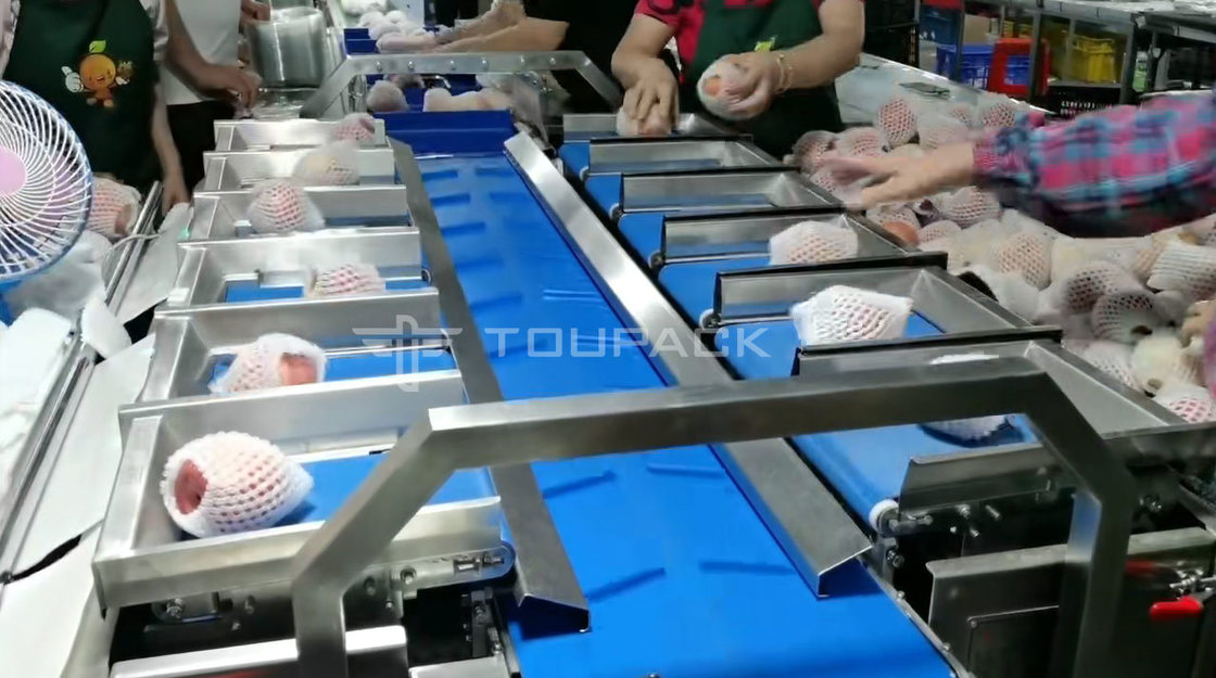 เครื่องบรรจุหมุดหมอน มะพร้าว แอปเปิ้ล รวมน้ําหนัก ตารางผลไม้ รวมน้ําหนัก เครื่องบรรจุความละเอียดสูง