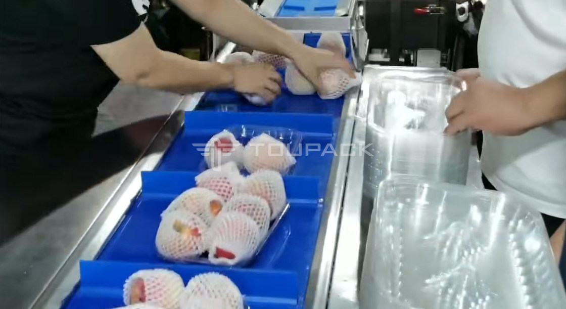 เครื่องบรรจุหมุดหมอน มะพร้าว แอปเปิ้ล รวมน้ําหนัก ตารางผลไม้ รวมน้ําหนัก เครื่องบรรจุความละเอียดสูง