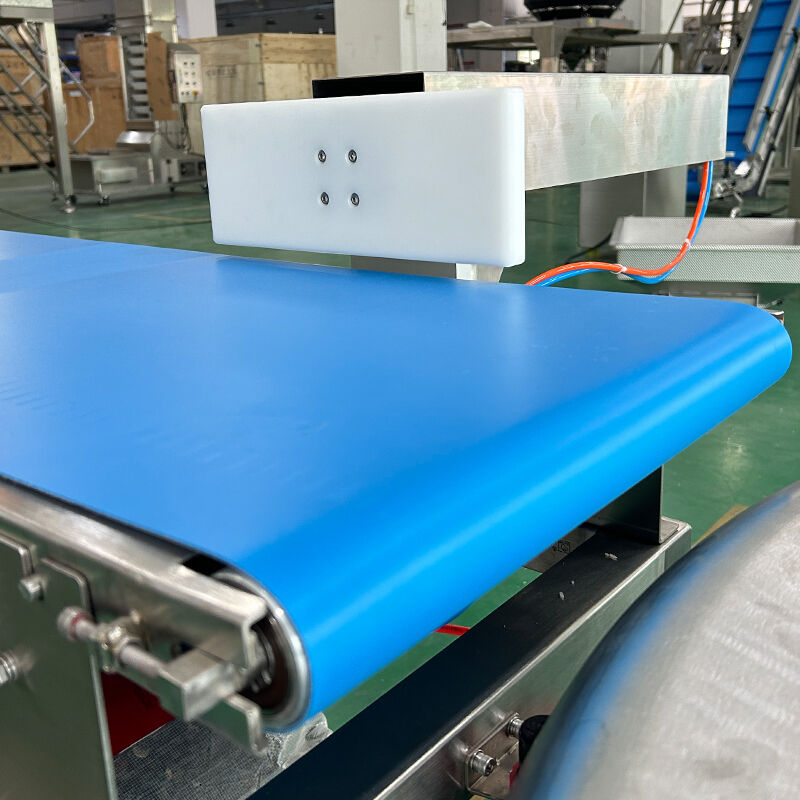 In-Line Dynamic Checkweigher for Snacks Nuts and Small Packaged Products