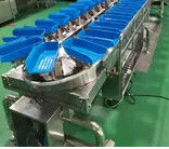 เครื่องคัดแยกน้ำหนักไข่แดง 1.5KW ความแม่นยำสูงสำหรับอุตสาหกรรมอาหาร