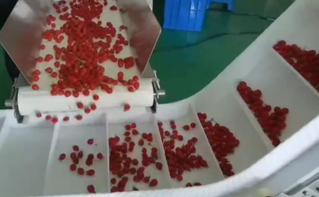 SUS304 Multihead Weigher ระบบชั่งน้ำหนักและบรรจุภัณฑ์อัตโนมัติสำหรับผลไม้แช่แข็งเชอร์รี่ในกล่อง