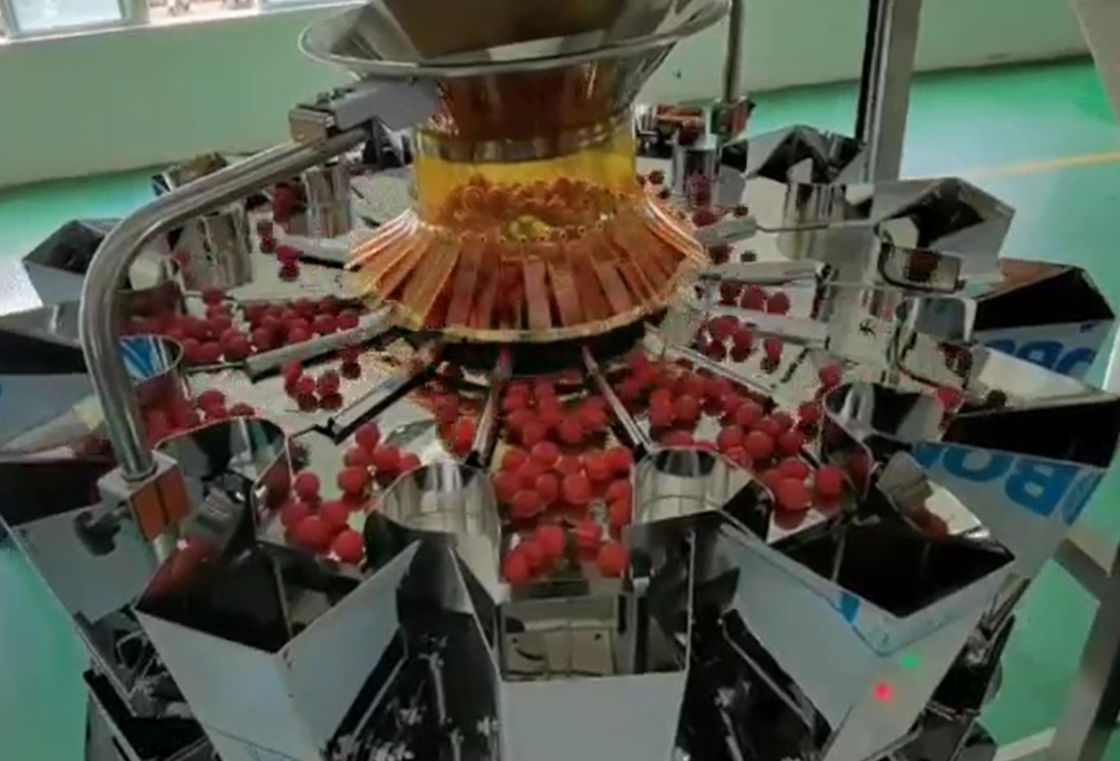 SUS304 Multihead Weigher ระบบชั่งน้ำหนักและบรรจุภัณฑ์อัตโนมัติสำหรับผลไม้แช่แข็งเชอร์รี่ในกล่อง
