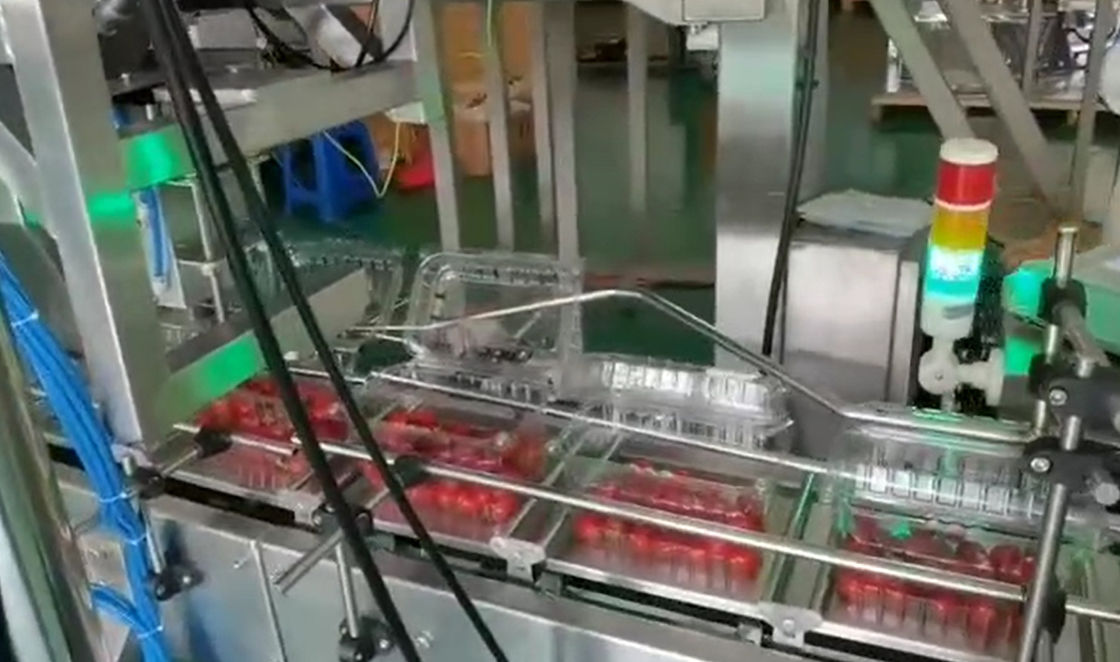 SUS304 Multihead Weigher ระบบชั่งน้ำหนักและบรรจุภัณฑ์อัตโนมัติสำหรับผลไม้แช่แข็งเชอร์รี่ในกล่อง