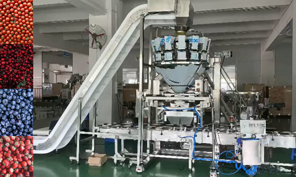 SUS304 Multihead Weigher ระบบชั่งน้ำหนักและบรรจุภัณฑ์อัตโนมัติสำหรับผลไม้แช่แข็งเชอร์รี่ในกล่อง