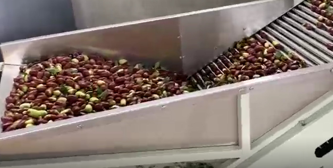 เหล็กกล้าคาร์บอน 220V เครื่องคัดแยก Jujubes เครื่องคัดแยกสายการผลิต