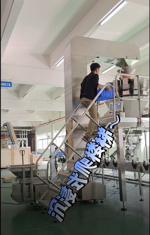 สายพานลำเลียงถังเอียง Z สแตนเลสทำงานกับเครื่องชั่งหลายหัว 10/14 หัว