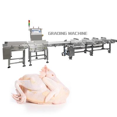 เครื่องคัดแยกน้ำหนักอัตโนมัติ PLC เครื่องคัดแยกเนื้อไก่