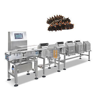 เครื่องคัดแยกน้ำหนัก ปลา กุ้ง Trepang สายพานลำเลียงอัตโนมัติ Grader Sorter Machine