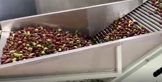 เหล็กกล้าคาร์บอน 220V เครื่องคัดแยก Jujubes เครื่องคัดแยกสายการผลิต