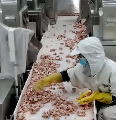 เครื่องบรรจุ Multihead Weigher ขนาด 20 ถุง / นาทีสำหรับผลิตภัณฑ์กระดูกเนื้อน้ำแข็ง