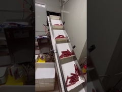 ระบบน้ําหนักและขนส่งอัตโนมัติสําหรับส้วมทรงยาว โฮตด็อก