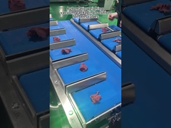 เครื่องบรรจุน้ําหนักเนื้อหลายหัว