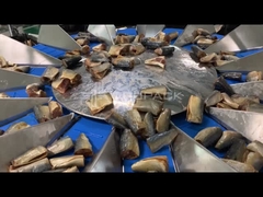 TOUPACK 14 หัว เครื่องชั่งปลาหลายหัว สําหรับชั่งปลา