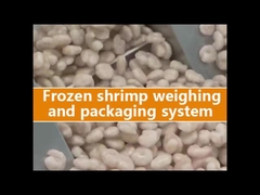 เครื่องบรรจุน้ําหนักหลายหัวสําหรับกระเป๋ากระเป๋า